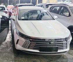 BYD Destroyer 05